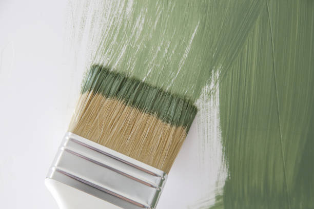 Trusted Atwood, KS Mold Removal Experts