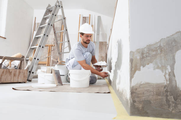 Best Basement Mold Removal  in Atwood, KS