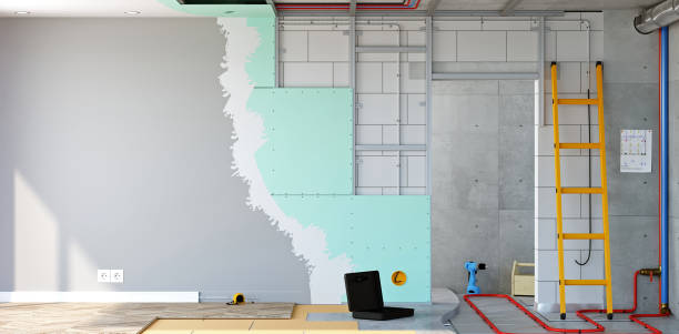 Best Post-Construction Mold Inspection  in Atwood, KS