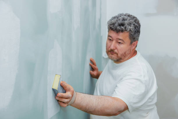 Best Industrial Mold Remediation  in Atwood, KS